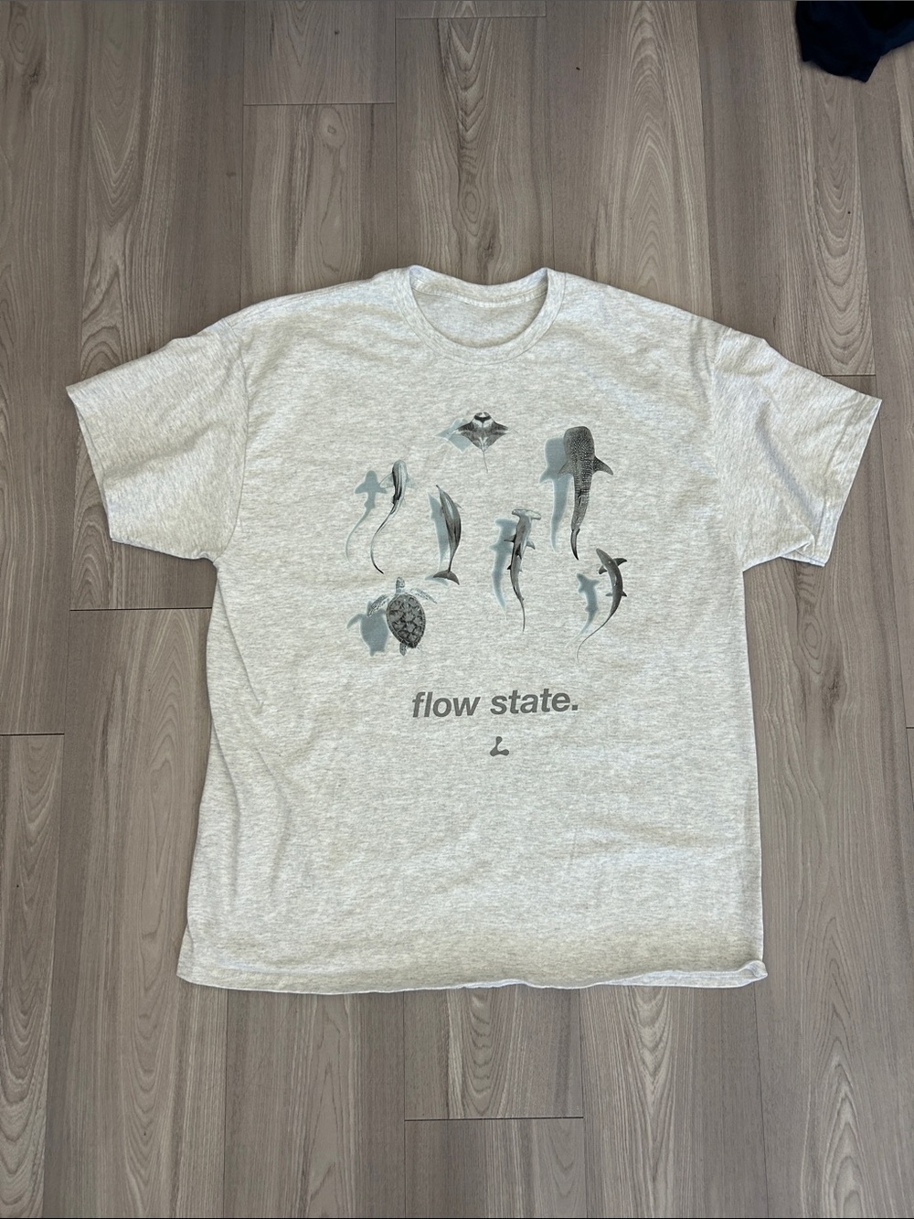 Flow State Graphic Tee - Light Heather Tee